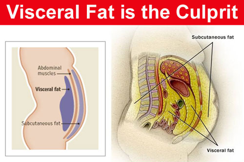 visceral-fat-level