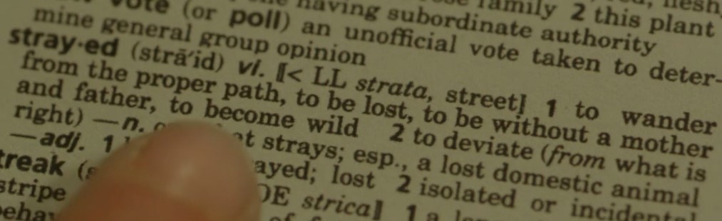 Definition of Strayed, from movie Wild