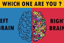 Which one are you? Left brain or right brain?