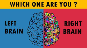 Which one are you? Left brain or right brain?
