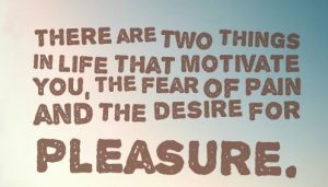 There are two things in life that motivate you, the fear of pain and the desire for pleasure, be a Narc