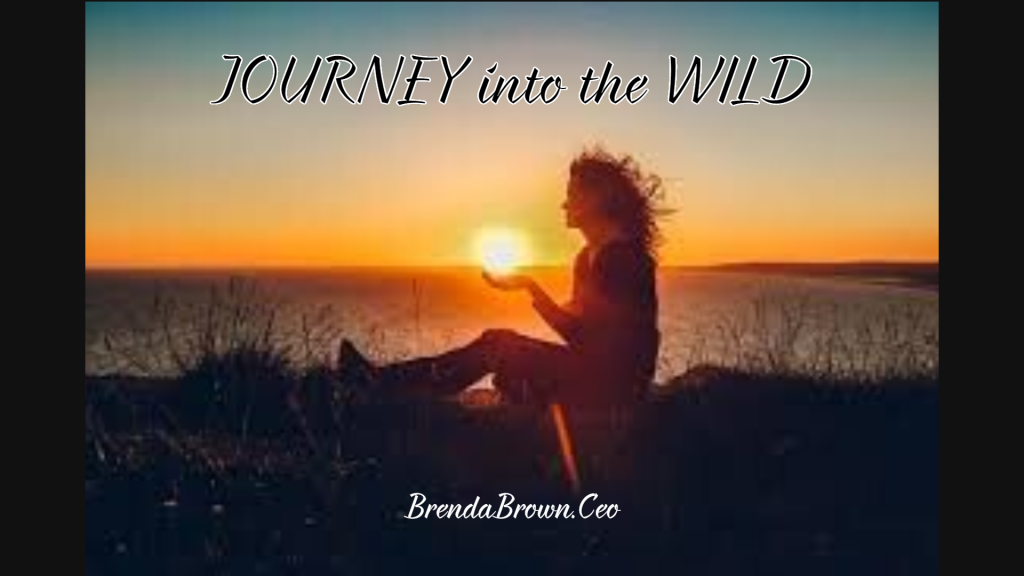 Journey into the Wild Header