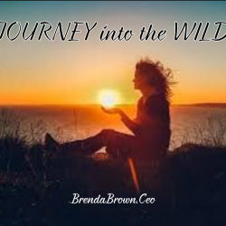 Journey into the Wild Header