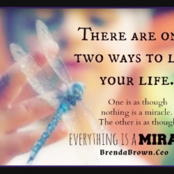 Miracles-brendabrownceo-masterkey