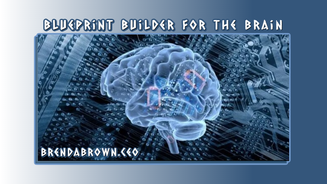 Blueprint builder for the brain image, cover image