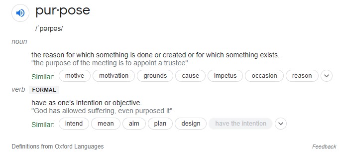 purpose definition